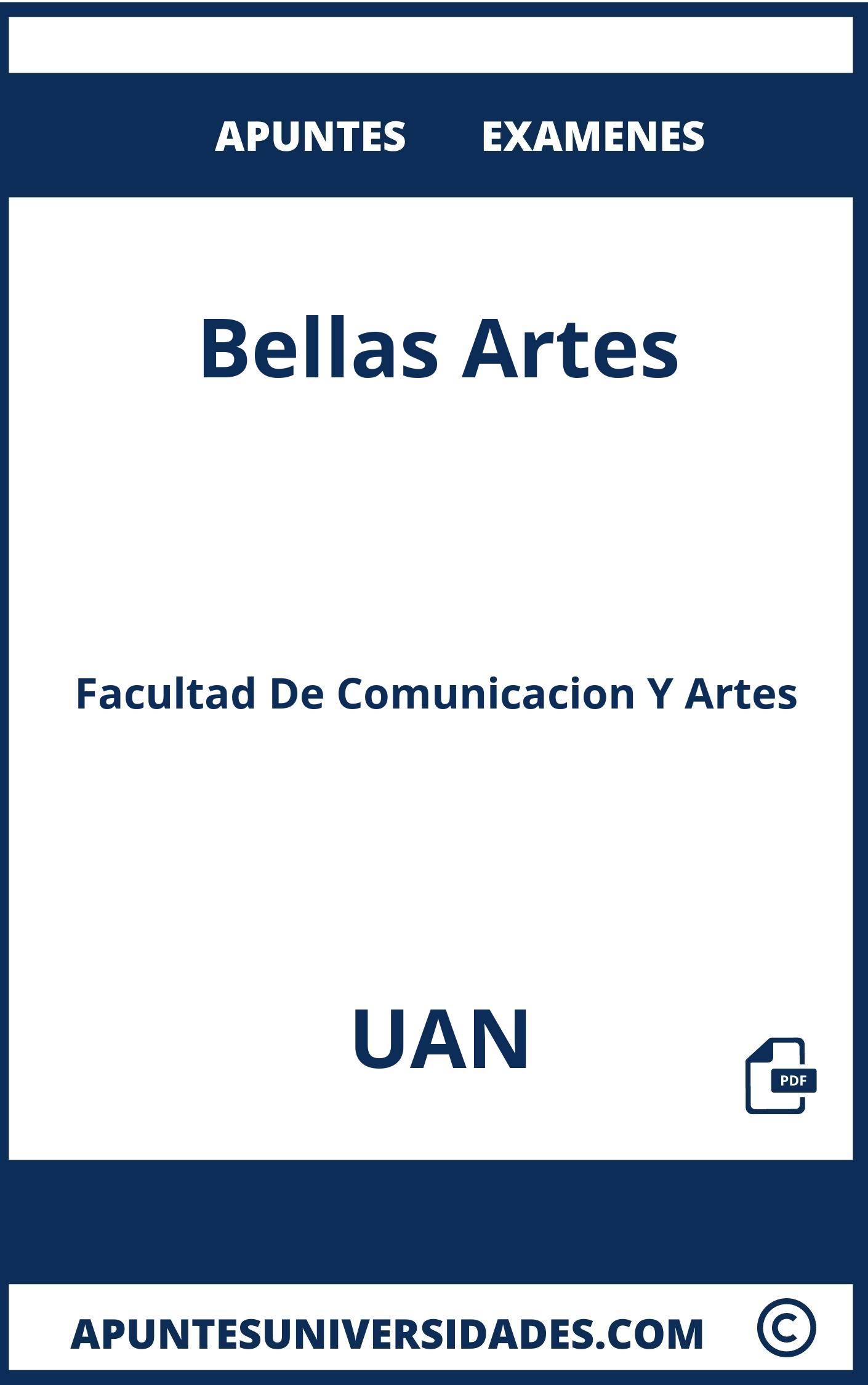 Apuntes y Examenes de Bellas Artes UAN