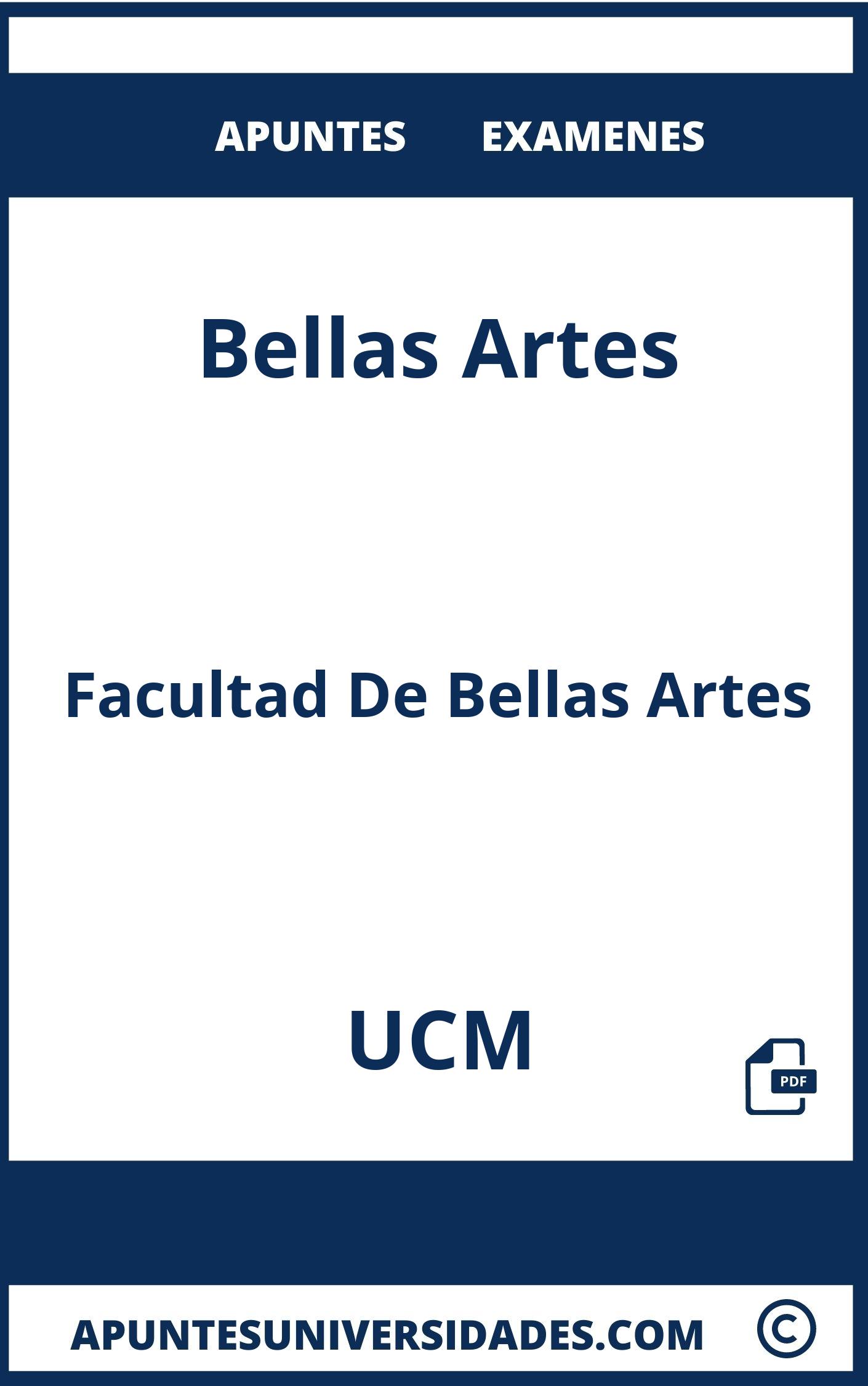 Bellas Artes UCM Examenes Apuntes