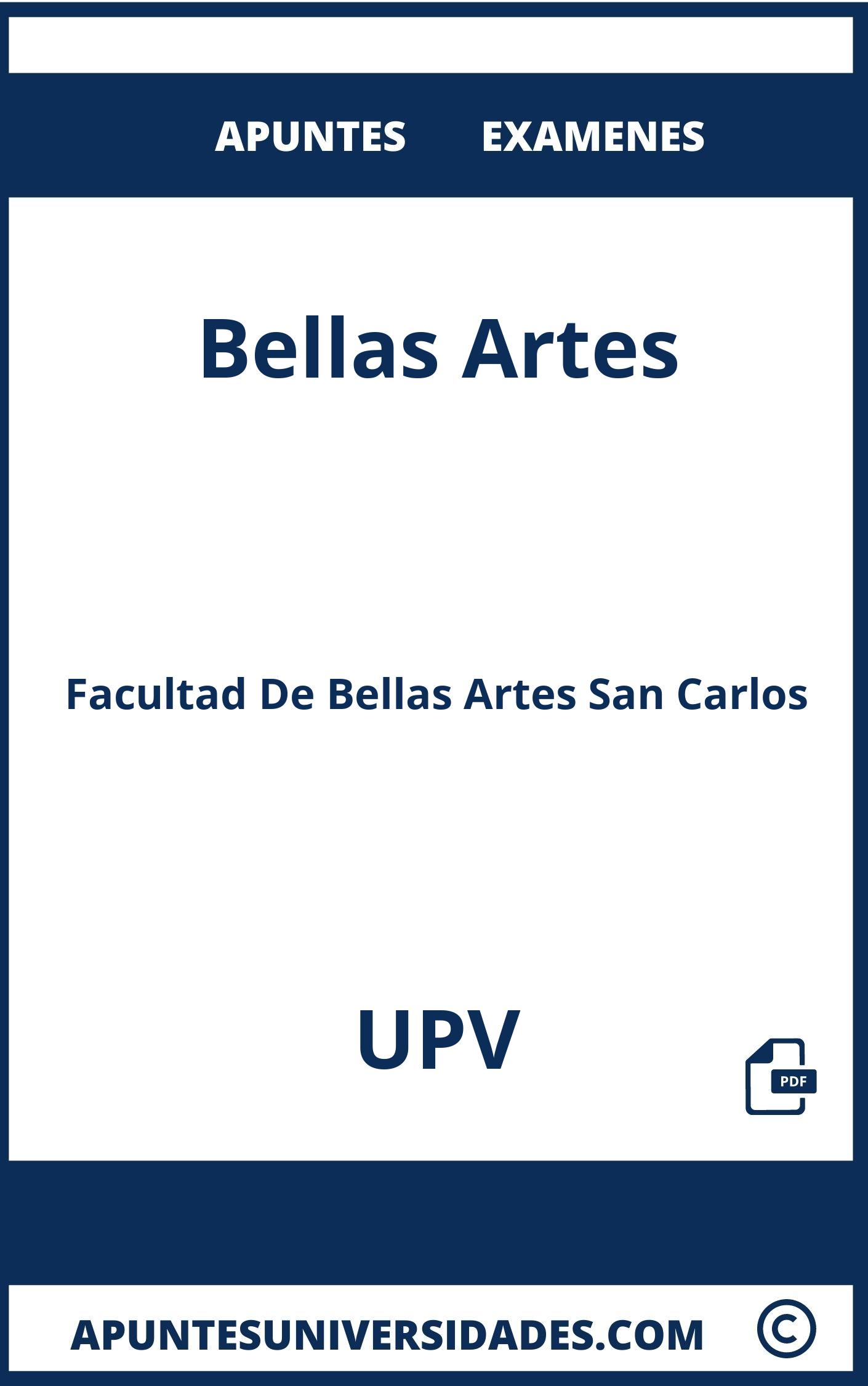 Bellas Artes UPV Examenes Apuntes