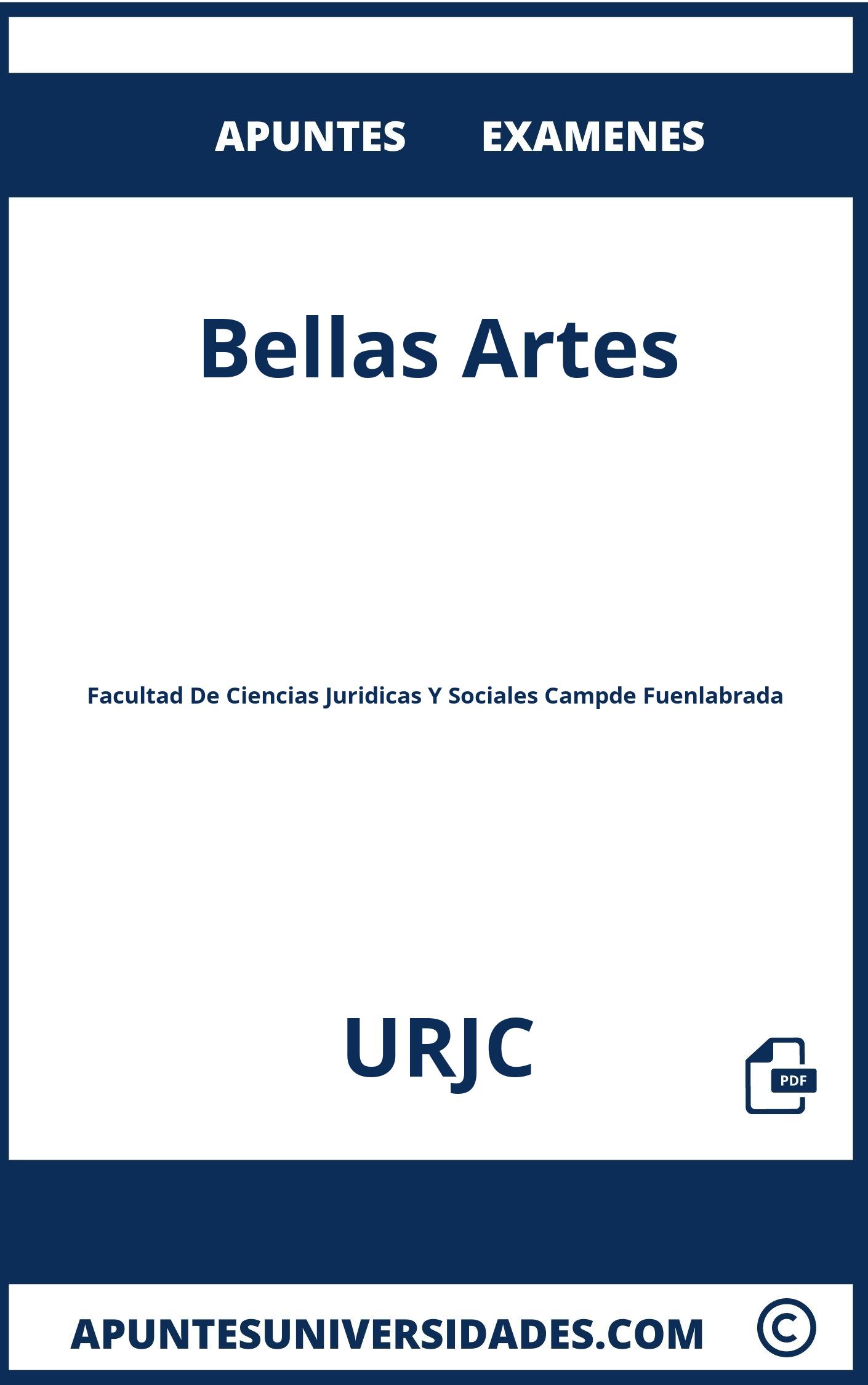 Examenes y Apuntes de Bellas Artes URJC