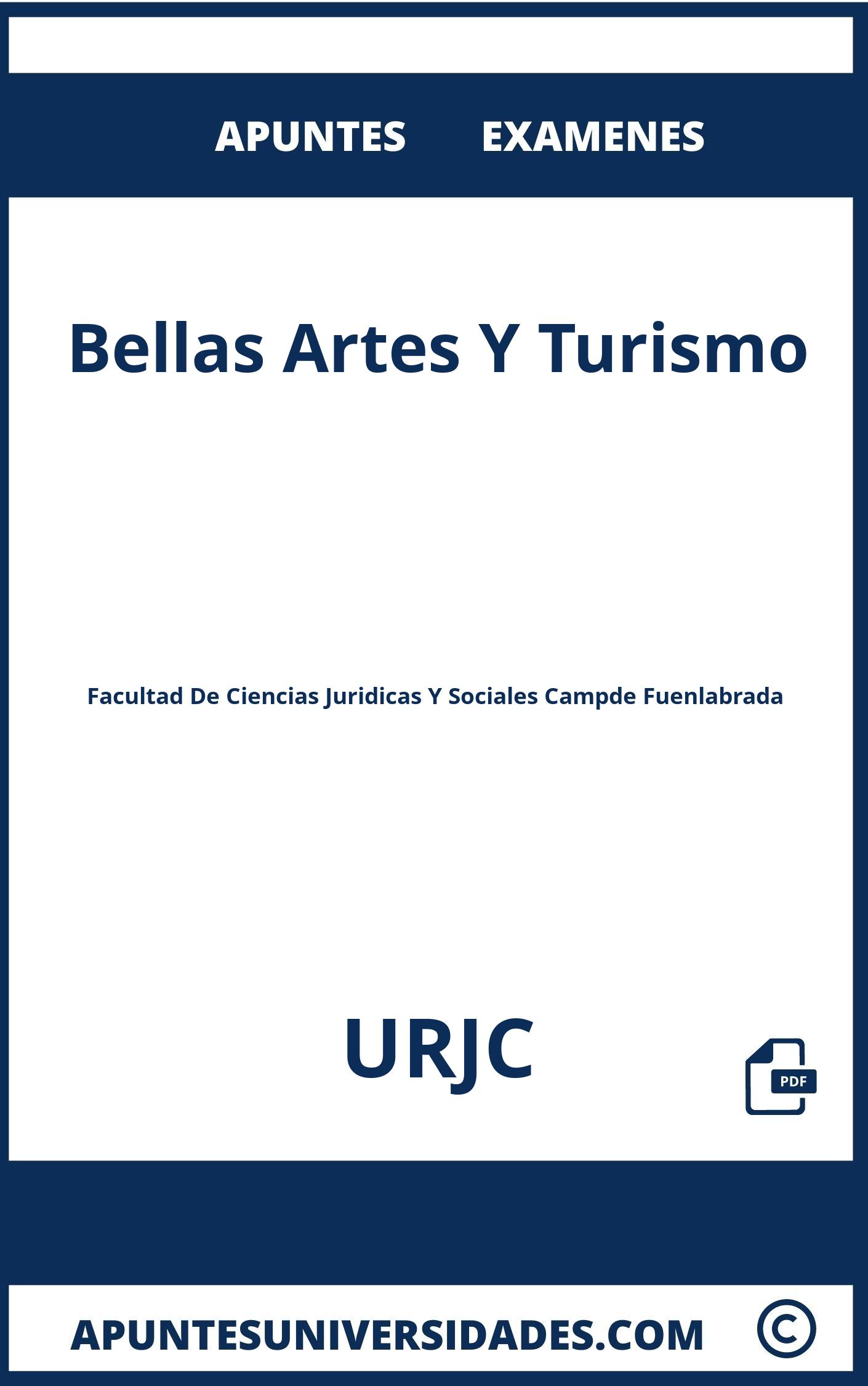 Bellas Artes Y Turismo URJC Examenes Apuntes