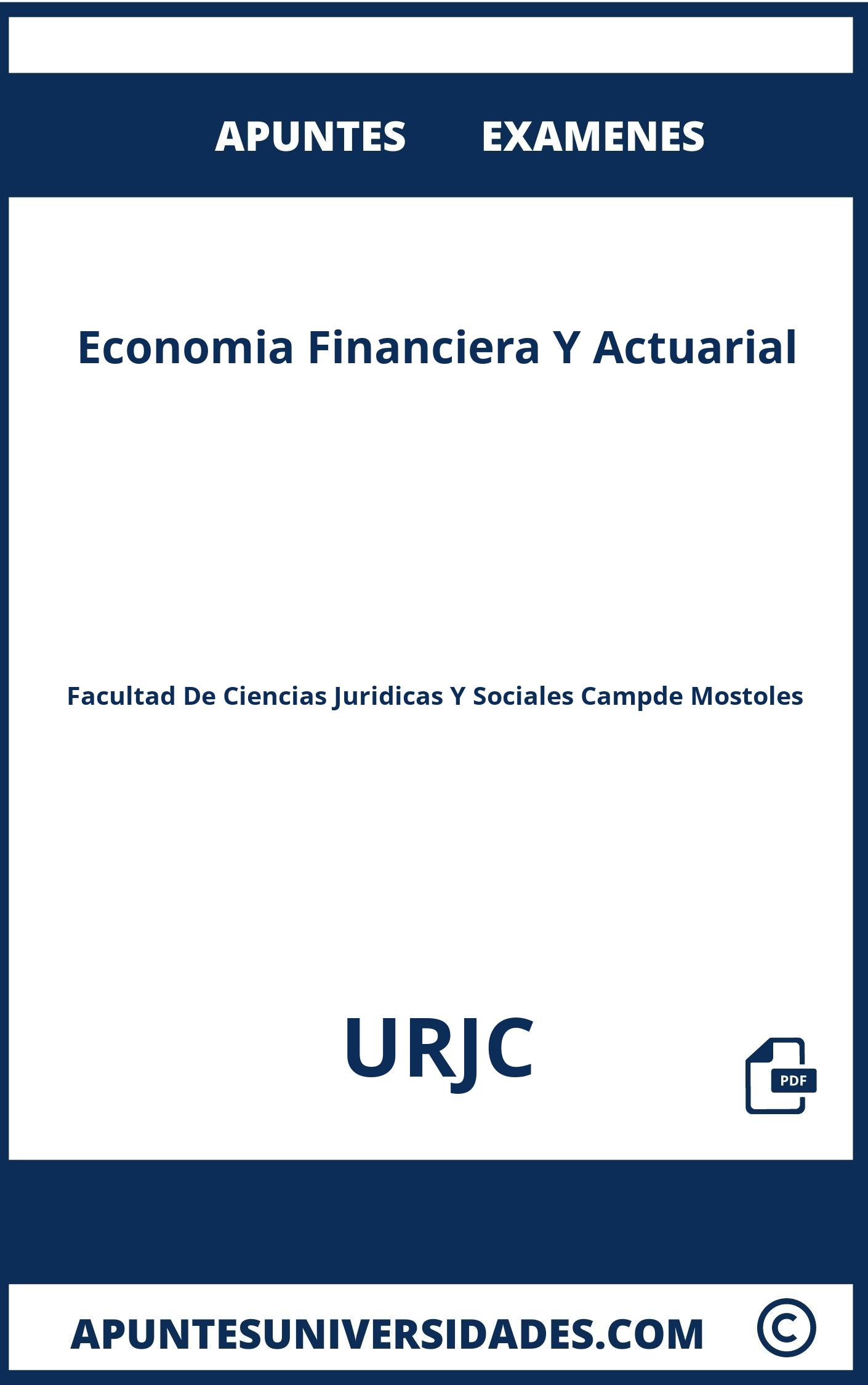 Economia Financiera Y Actuarial URJC Apuntes Examenes