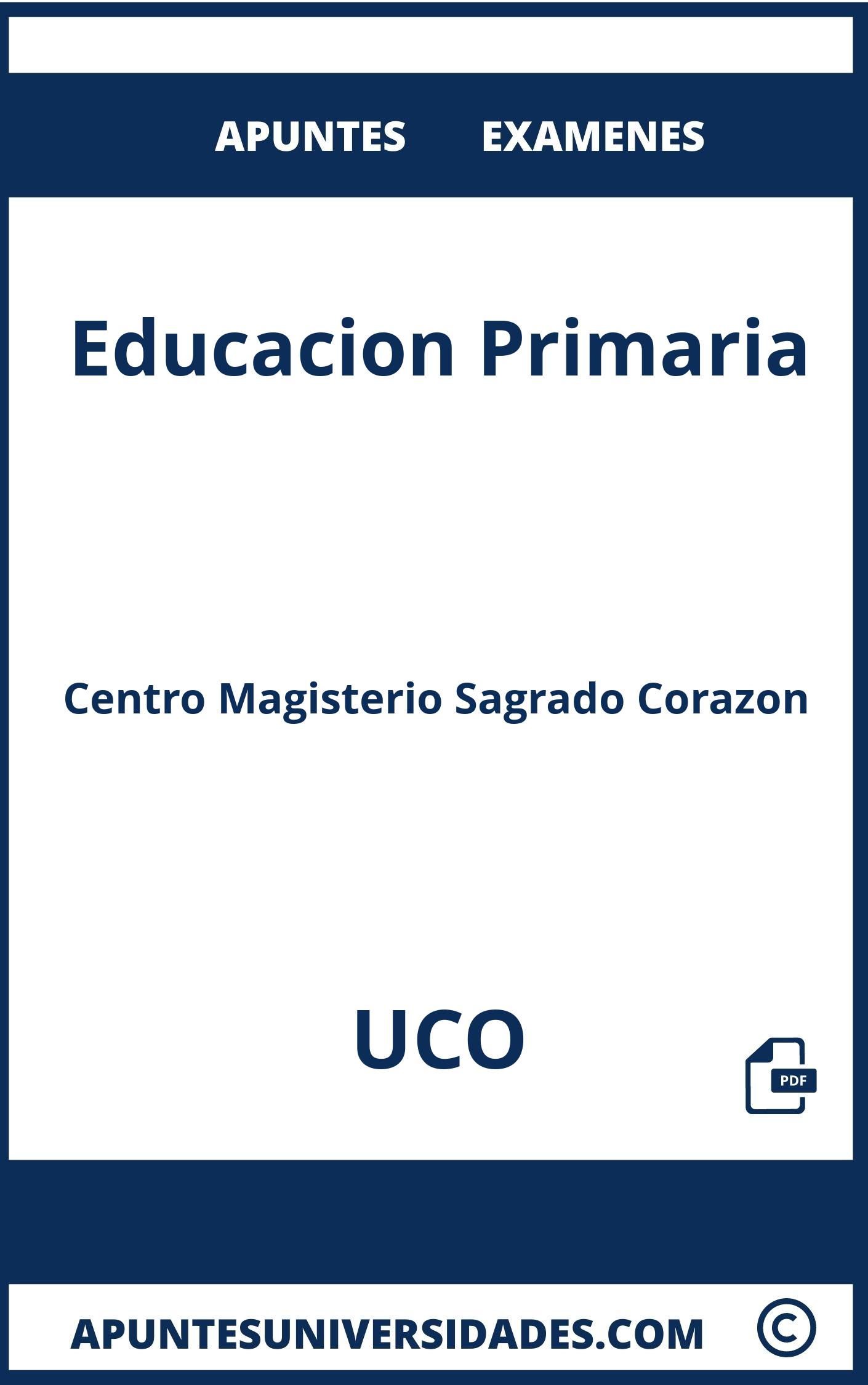 Educacion Primaria UCO Examenes Apuntes