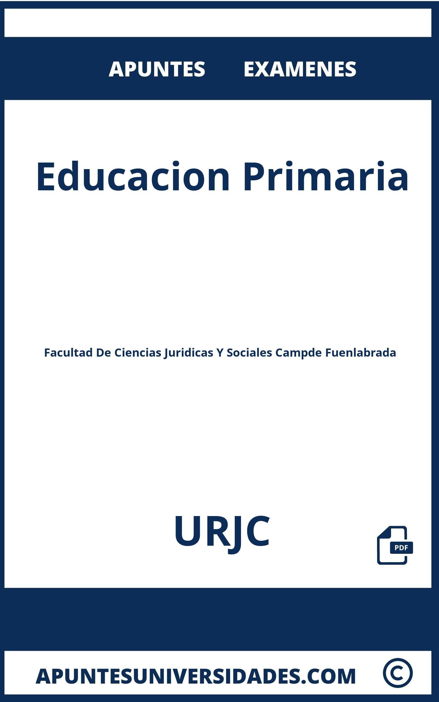 Educacion Primaria URJC Examenes Apuntes