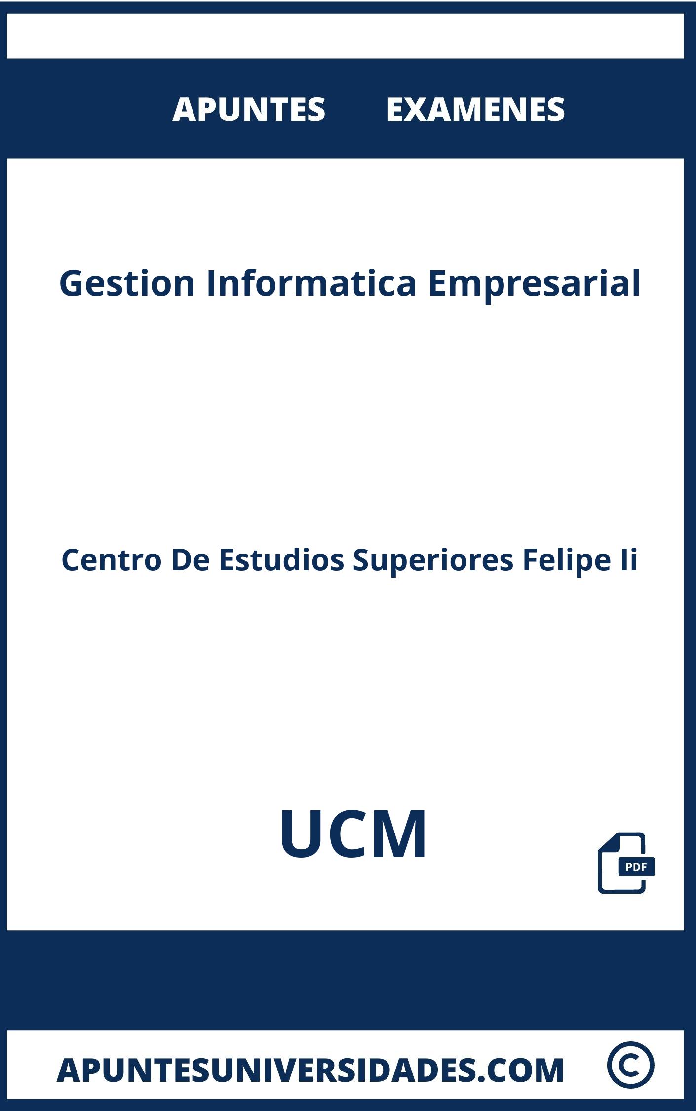 Apuntes y Examenes Gestion Informatica Empresarial UCM