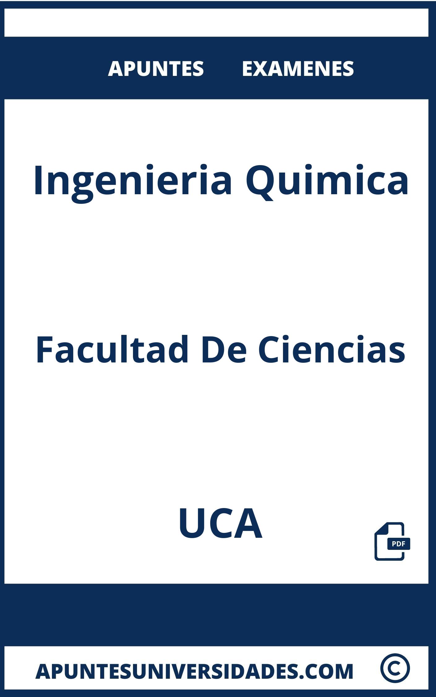 Ingenieria Quimica UCA Examenes Apuntes