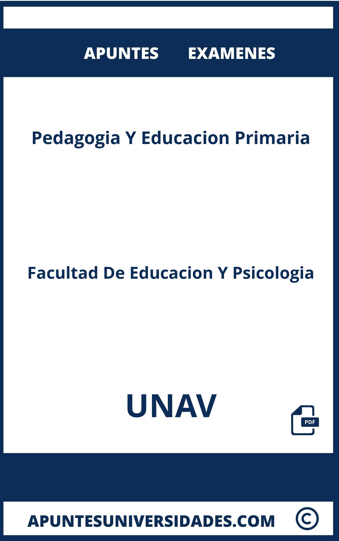 Examenes Pedagogia Y Educacion Primaria UNAV y Apuntes