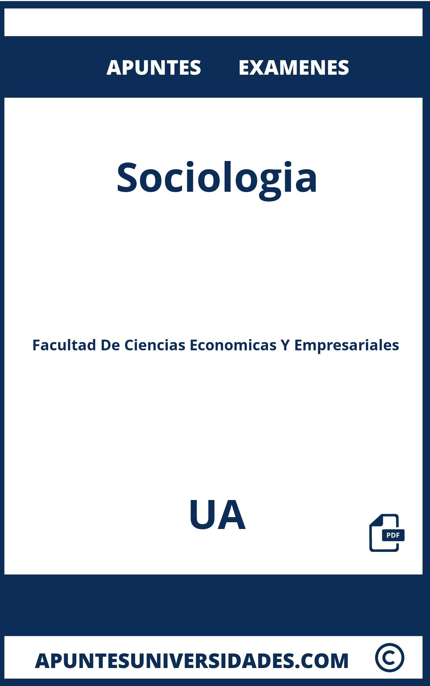 Sociologia UA Examenes Apuntes